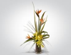 Arreglo Floral Especial E-2